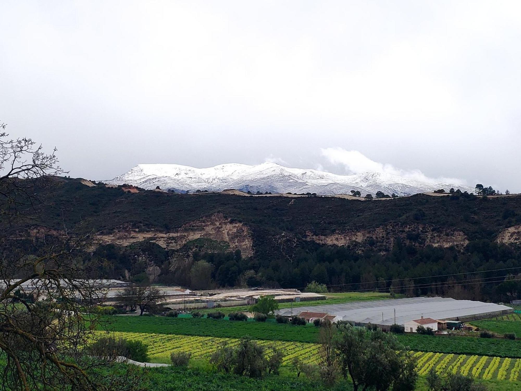 La Chimenea Casa Rural Granada Eksteriør bilde